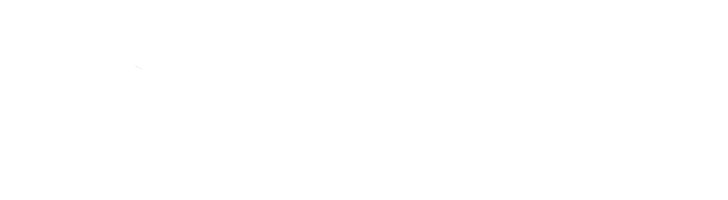 Torrent Securities